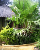 Afrikhaya Guest House